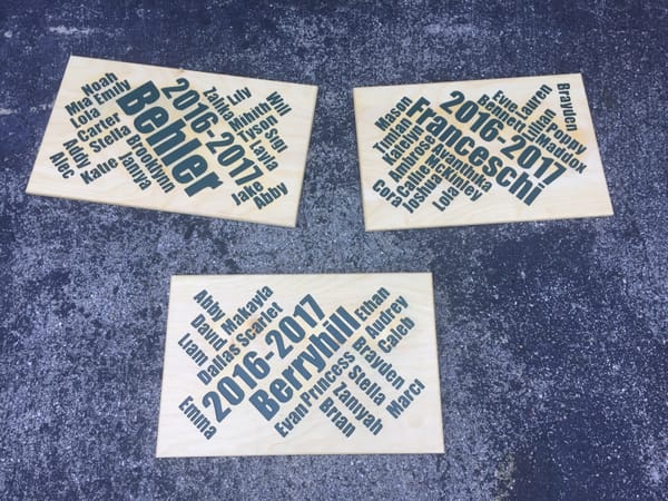 CSLA Class of 2029 Kindergarten Signs